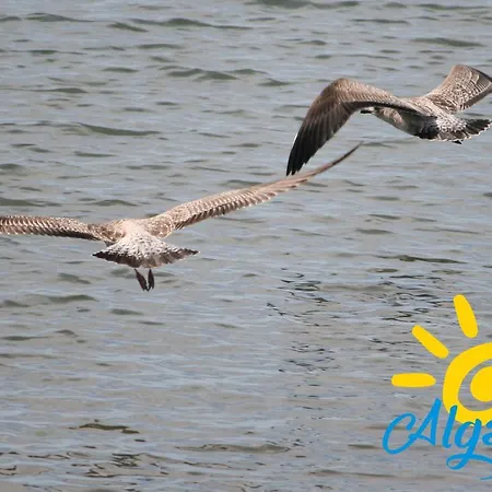 Casa Florinda By Algartur Дом отдыха