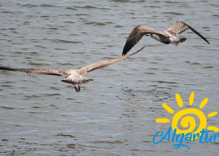 Casa Florinda By Algartur Holiday home