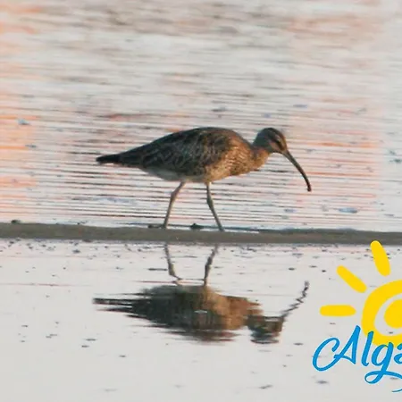 Σπίτι διακοπών Casa Florinda By Algartur