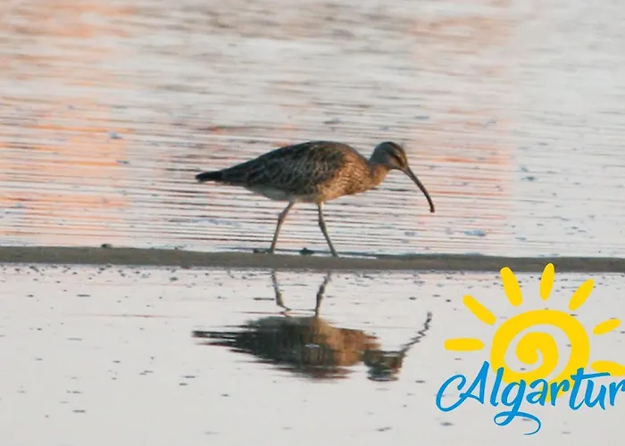 Vakantiehuis Casa Florinda By Algartur